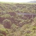 St Kitts Train Ride20